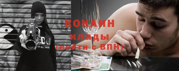 крисы Осинники