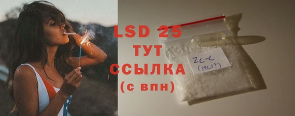 крисы Осинники