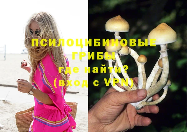 герыч Осташков