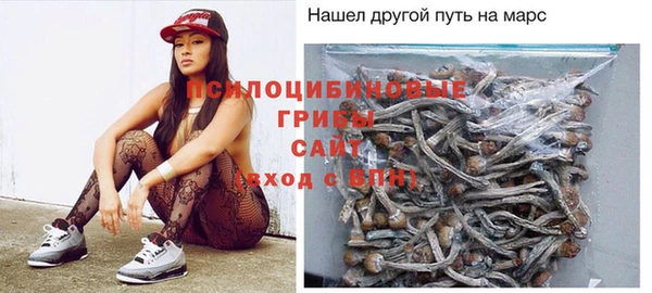 крисы Осинники