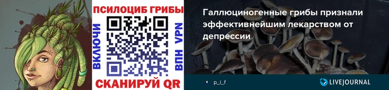 Галлюциногенные грибы мухоморы Кинель