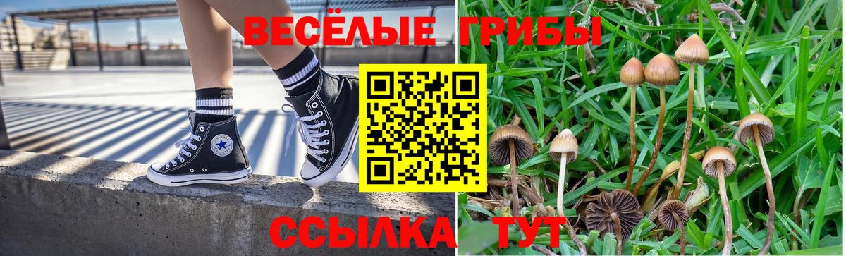 Галлюциногенные грибы прущие грибы  Кинель 