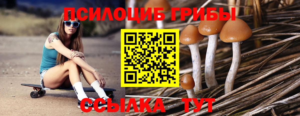 Галлюциногенные грибы Cubensis Кинель