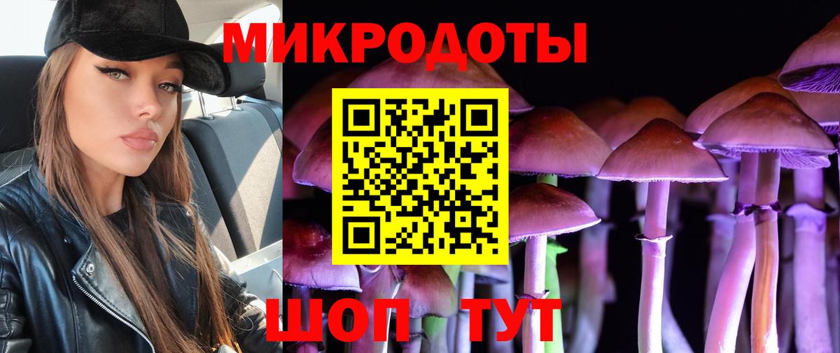 Кинель  Псилоцибиновые грибы мицелий  Вход с VPN 