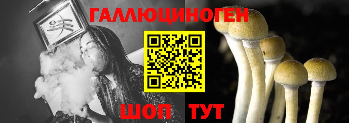 Кинель  Меф кристаллы  Бошки Шишки  ГАШИШ  ГАШИШ  МЕТ  Экстази 