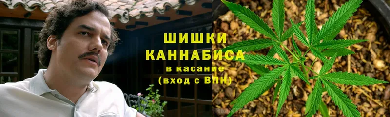 Бошки Шишки конопля  Кинель 